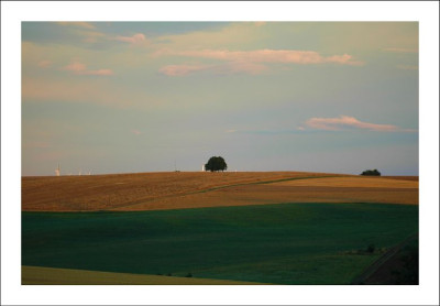 Feldansichten_3_30-07-2006.jpg