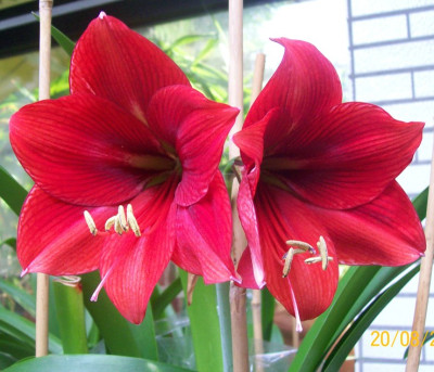 100_3953.jpg