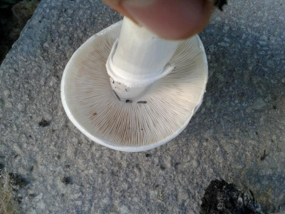 20150828_184040.jpg