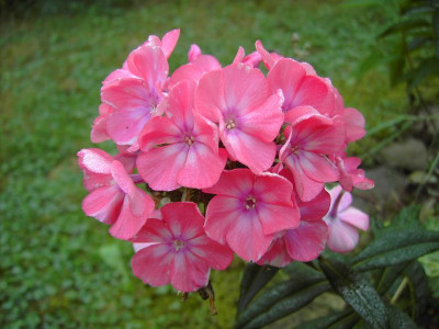 PICT0738.JPG
