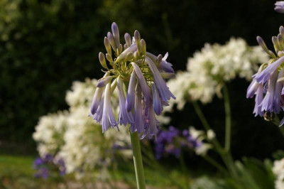 K800_010.JPG