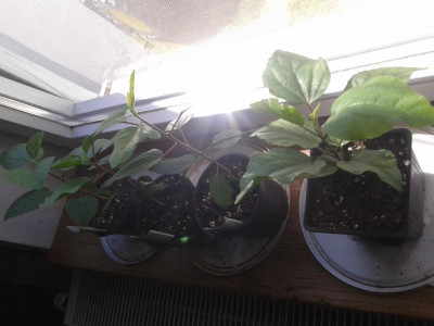 20150829_125938.jpg