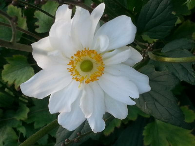 20150826_190056.jpg