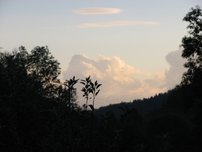 CLOUDS_DI_0108_III.jpg