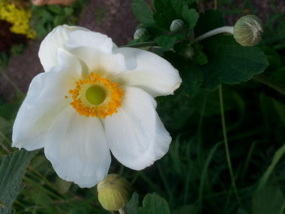 20150825_183543.jpg