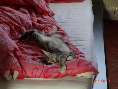 DSC02125.JPG