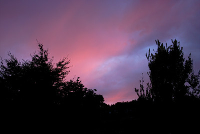 IMG_2342a.jpg