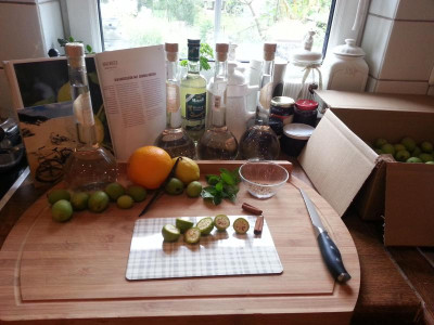 Vorbereitung Walnusslikör.jpg