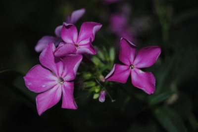 september 028.jpg