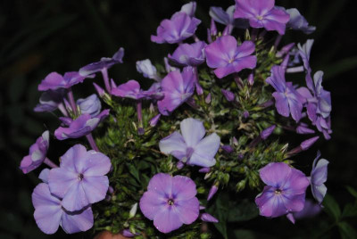 september 047.jpg