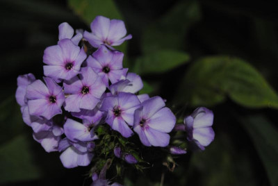september 042.jpg