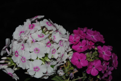 september 084.jpg
