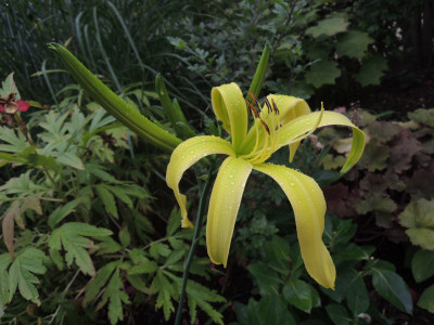 DSCN8151_903.JPG