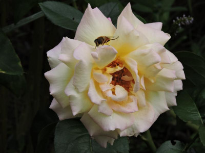 DSCN2070.JPG