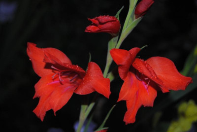 september 078.jpg