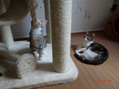DSC02138.JPG