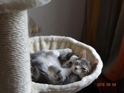 DSC02143.JPG