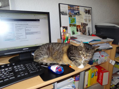 DSC00003.JPG