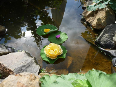 P1080569.JPG