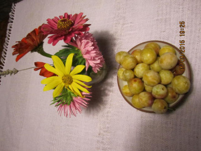 Mirabelle 2015 001.jpg