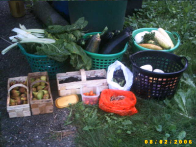 2006_0802Bild0048.JPG