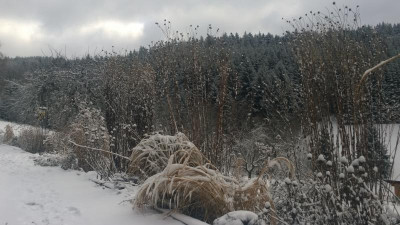 WP_20150125_12_33_15_Pro.jpg