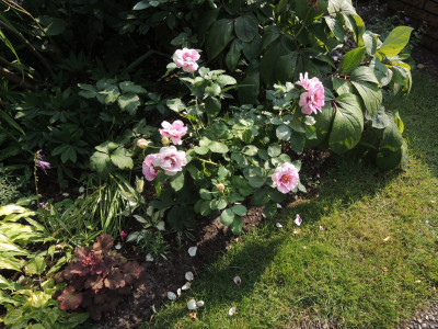 DSCN7987_908.JPG