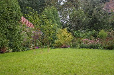 K800_002.JPG