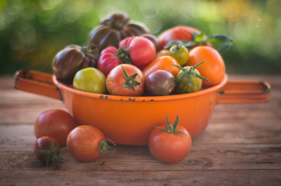 tomate_1.7-1.jpg