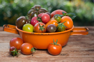 tomatenbokeh_2-1.jpg