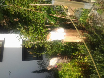 2015-09-09 09.00.19.jpg