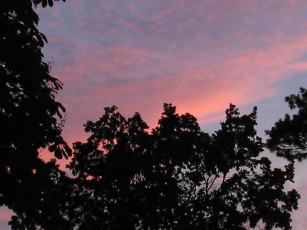 Juniabend2_1_2_1.JPG