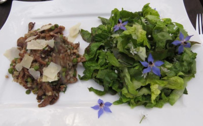 IMG_8526 Essen am 10.9.15 - Buchweizenpfanne mit Austernpilzen, Erbsen und Parmesan, Gartensalat.jpg
