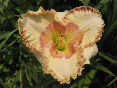 209-0909ab_IMG.jpg