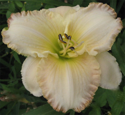 209-0916ab_IMG.jpg