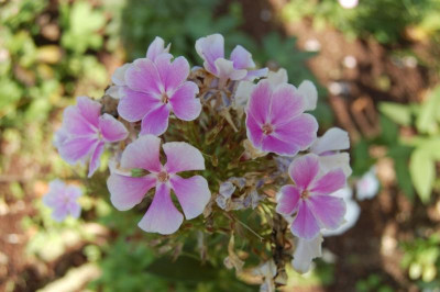 thumb_DSC_0254_1024.jpg