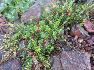 20150912_183145.jpg