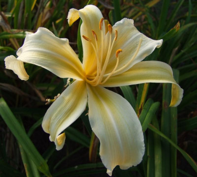 2015_0912MitteSeptember0032.jpg