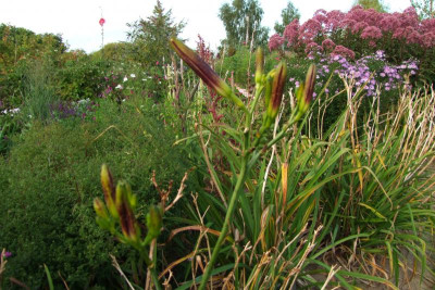 2015_0912MitteSeptember0052.JPG