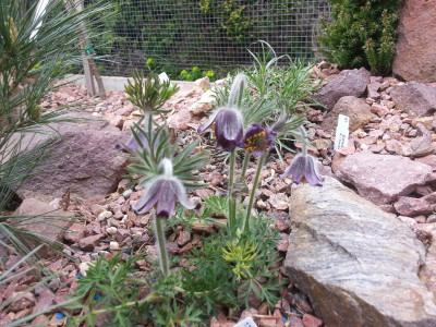 20150426_121449.jpg