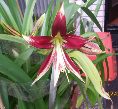 100_4091.jpg