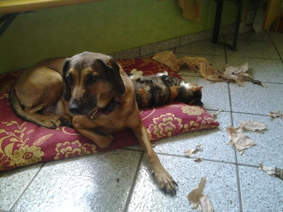 2015-09-15 11.42.25.jpg
