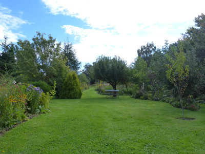 2015-09-19 Garteneinblick 4.jpg
