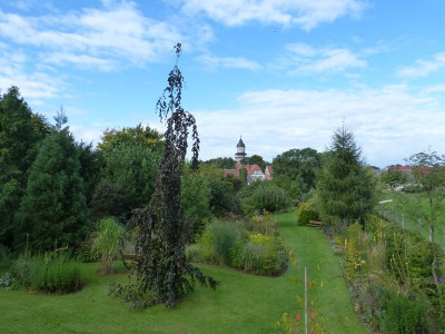 2015-09-19 Garteneinblick 7.jpg