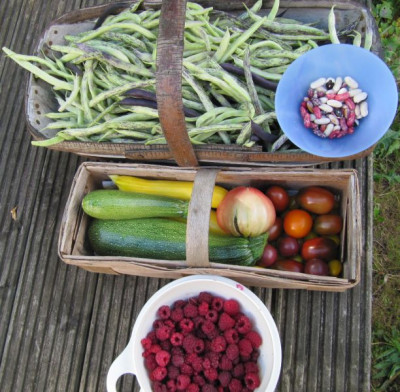 Ernte 150919.jpg