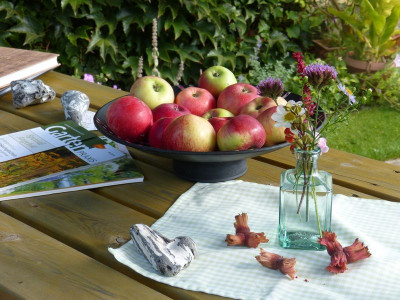2015-09-19 Gartenimpressionen.jpg