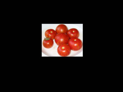 Tomaten1.jpg
