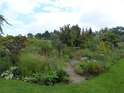 2015-09-21 Ahornbeet.jpg