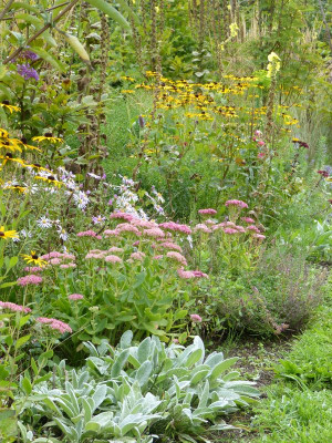 2015-09-21 Gartenimpressionen 1.jpg