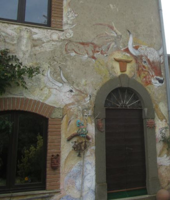 Auerochsenkühe.jpg